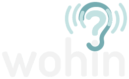 Logo wohin – Verein Lotse